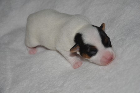 DIDO: "...und ich bin doch KÖNIGINNEN-LICH, oder???"